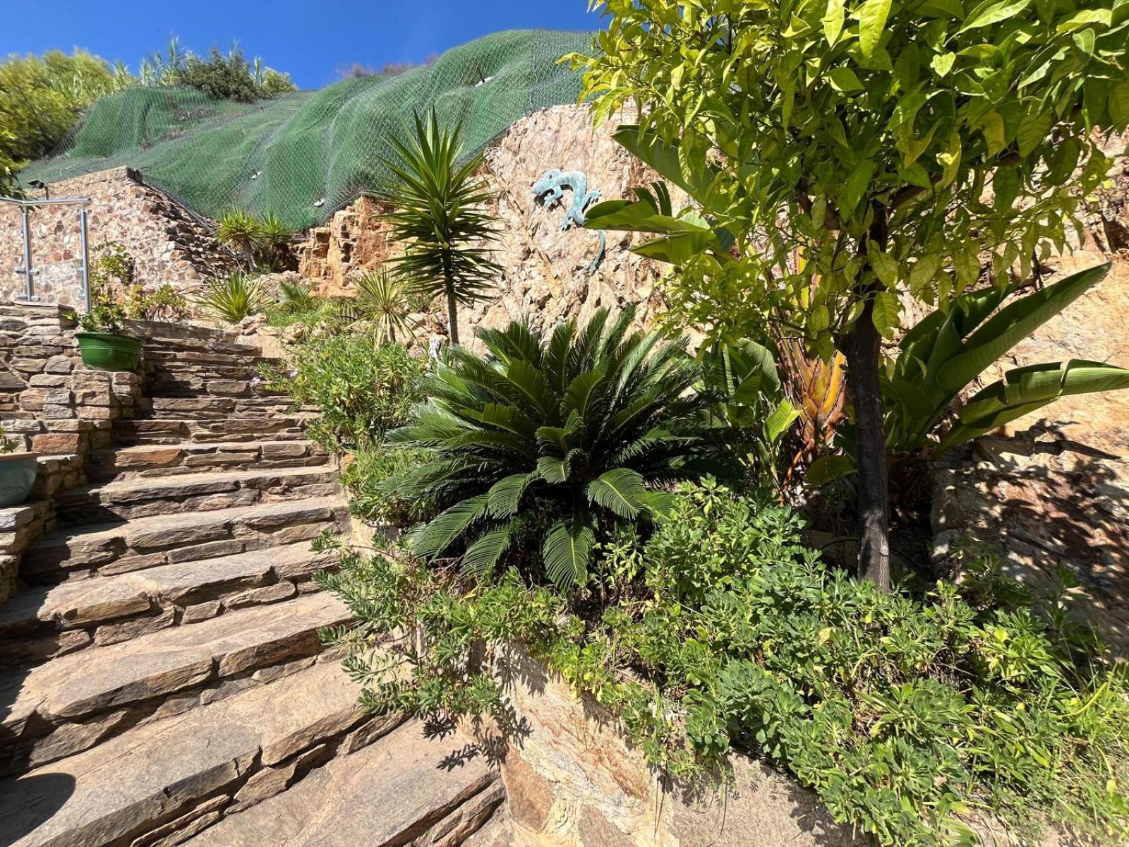 Meuble Tourisme 4*, Les Pieds Dans L'Eau, Villa Las Palmeras La Londe-les-Maures Dış mekan fotoğraf